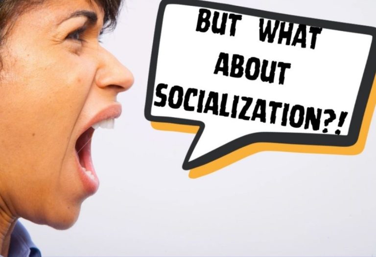 What about socialization 